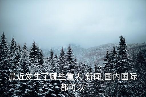 最近發生了哪些重大 新聞,國內國際都可以