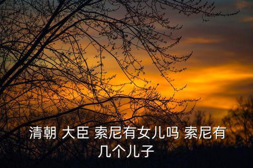 索尼清朝大臣,索尼五子心語:索尼長子索尼次子康熙賜禮安葬