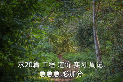 求20篇 工程 造價(jià) 實(shí)習(xí) 周記,急急急,必加分
