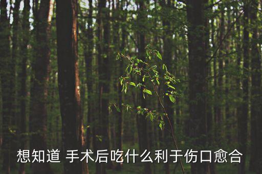想知道 手術(shù)后吃什么利于傷口愈合
