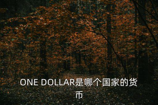 硬幣英文，BANK NECARA MALAYSIA是什么硬幣