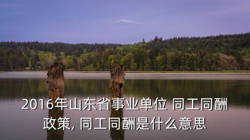 同工同酬什么意思,同工同酬很容易被異化成用人單位應對對策