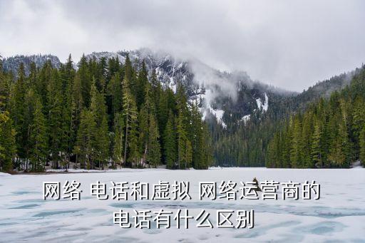  網絡 電話和虛擬 網絡運營商的 電話有什么區別