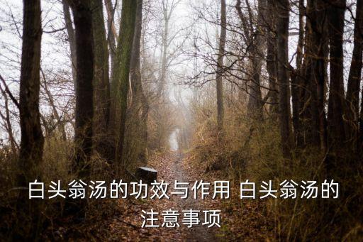  白頭翁湯的功效與作用 白頭翁湯的注意事項