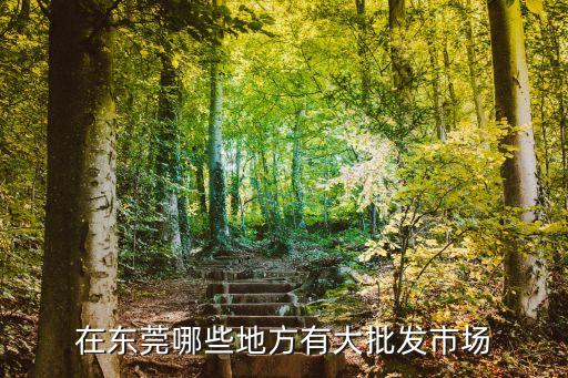 在東莞哪些地方有大批發市場