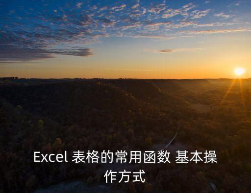 Excel 表格的常用函數 基本操作方式
