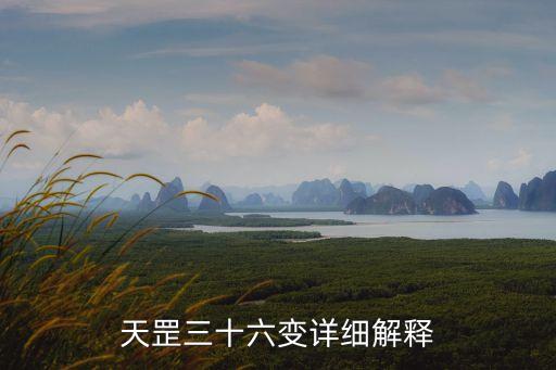 天罡三十六變詳細解釋