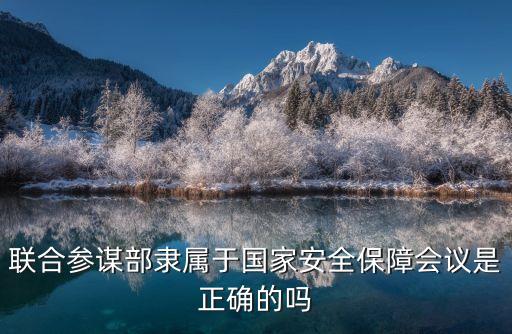 訓練管理部,國安局將制定中長期安全戰略及時處理危機管理