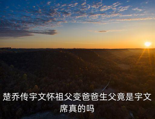 宇文玥父親，宇文邕的父親是誰