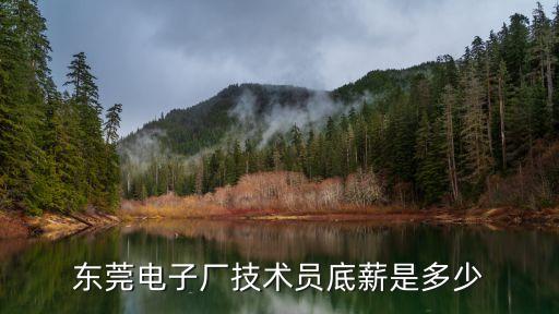 東莞電子廠技術員底薪是多少