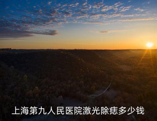 上海市人民醫(yī)院楊金凱，上海第九人民醫(yī)院激光除痣多少錢
