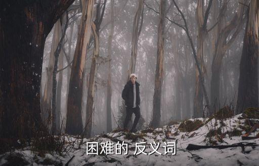 困難反義詞,三等品賣不掉反義詞:容易，簡單