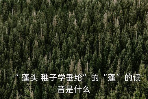 蓬頭稚子,《小兒釣魚》第二集:蓬頭稚子學(xué)釣魚