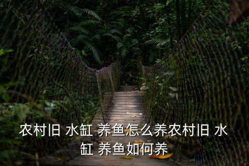 農(nóng)村舊 水缸 養(yǎng)魚怎么養(yǎng)農(nóng)村舊 水缸 養(yǎng)魚如何養(yǎng)