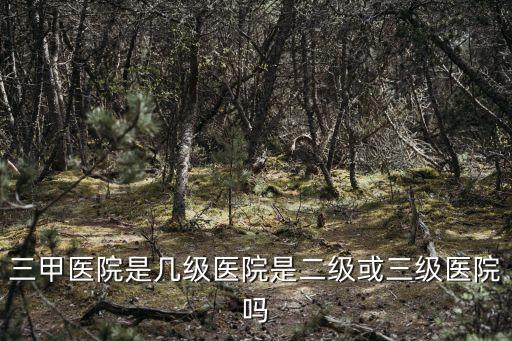 三甲醫院是幾級醫院是二級或三級醫院嗎