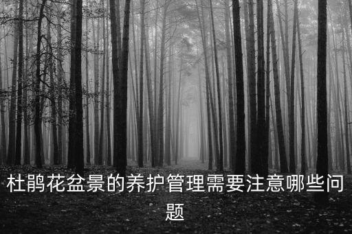 花萌,杜鵑花盆景管理和盆栽一樣春節期間不能積水