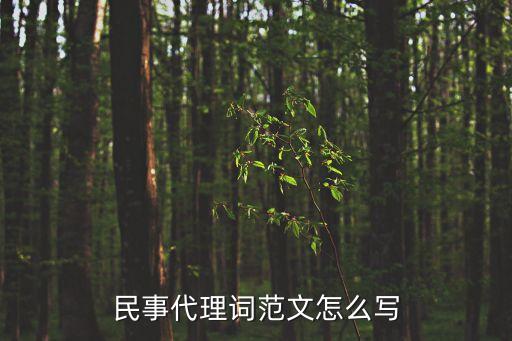 代理詞范文，民事訴訟代理詞范文