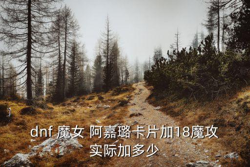 魔女阿嘉璐,魔法攻擊加成增加75點時面板偏向智能卡