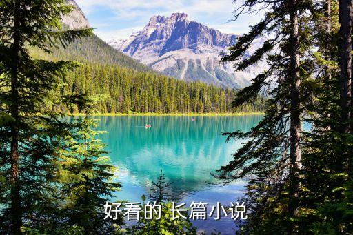 好看的 長(zhǎng)篇小說(shuō)