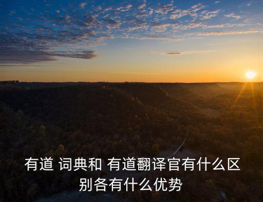  有道 詞典和 有道翻譯官有什么區(qū)別各有什么優(yōu)勢(shì)