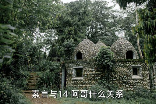 14阿哥,14阿哥與4阿哥的愛情故事最終落幕