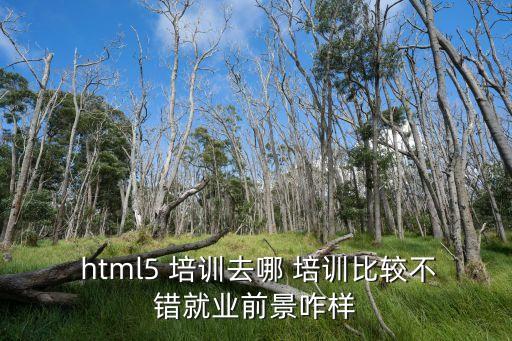  html5 培訓去哪 培訓比較不錯就業前景咋樣