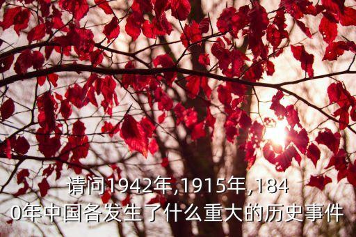 五九國恥,五月七日國恥日"