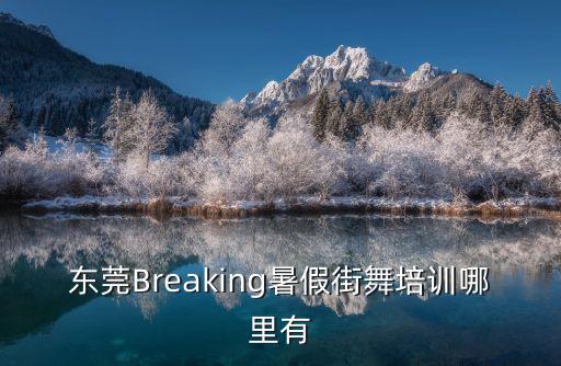 東莞Breaking暑假街舞培訓(xùn)哪里有