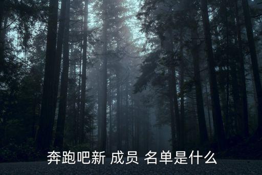  奔跑吧新 成員 名單是什么