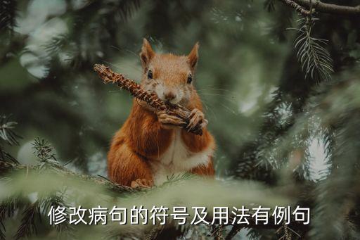 修改病句符號，修改病句的符號有哪些