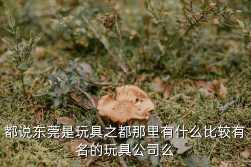 東莞恒寶玩具廠，東莞工業(yè)區(qū)哪有玩具工廠