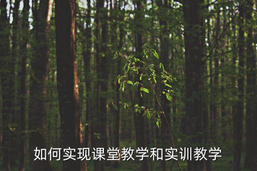 實訓教學，華育國際的實訓課程是指什么啊