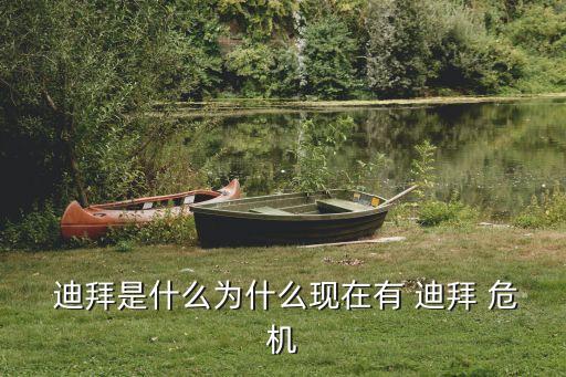 迪拜危機,石油美元建造現代化配套基礎設施迪拜成奢華代名詞