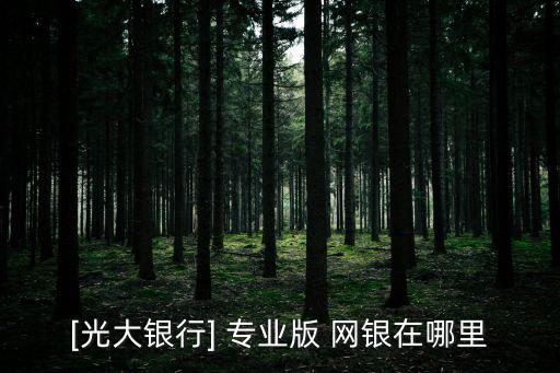 網銀專業版,申請令牌動態密碼登錄專業版的客戶可登錄陽光令牌