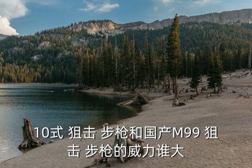 10式 狙擊 步槍和國產M99 狙擊 步槍的威力誰大