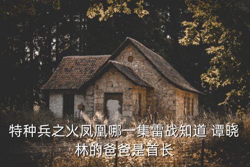 譚曉林,中國版《絕命毒師》劉招華與譚曉林母親通電話