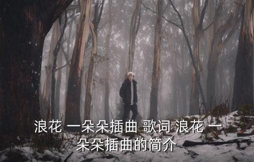 浪花一朵朵歌詞,浪花一朵朵"