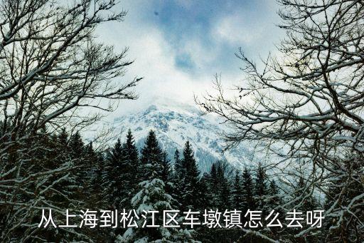上海市城橋鎮紅云村，上海崇明燃氣電廠在哪里