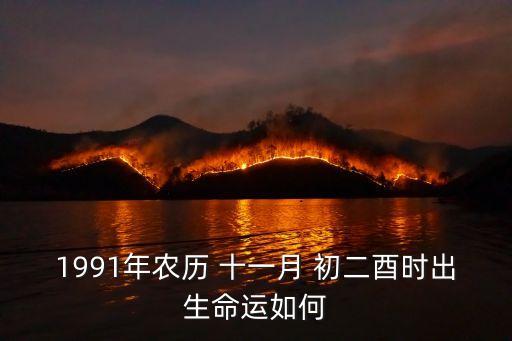 十一月初二,農歷十一月是丑月取決于個人努力和素質