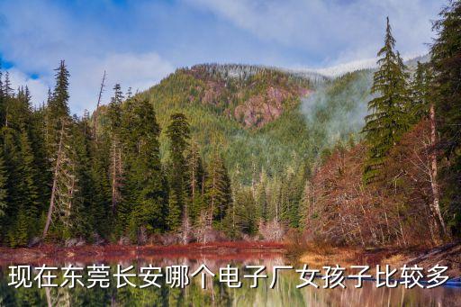 現(xiàn)在東莞長安哪個(gè)電子廠女孩子比較多
