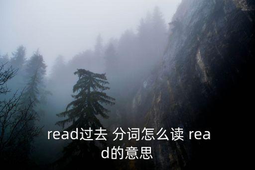 read的過去分詞