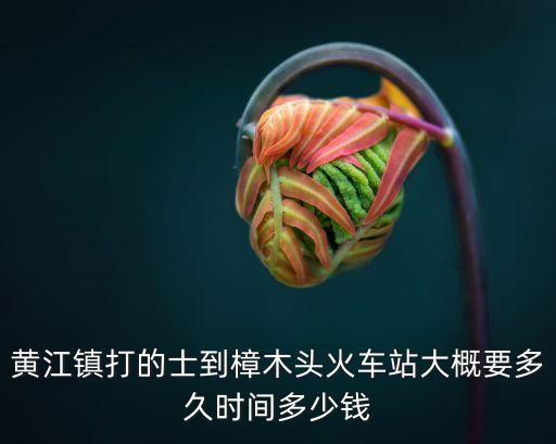 東莞黃江離樟木頭多遠，從東莞黃江到樟木頭觀音山怎么去啊坐幾路共汽