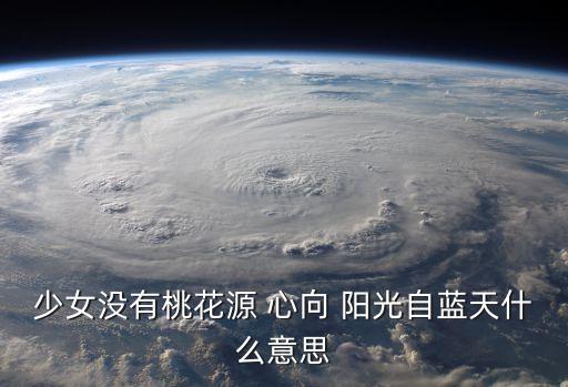 心向陽光下一句是什么,第二集:向陽花