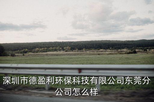 深圳市德盈利環保科技有限公司東莞分公司怎么樣