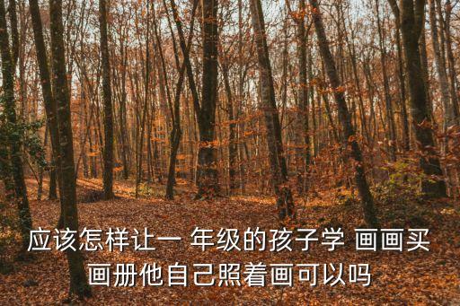 應(yīng)該怎樣讓一 年級的孩子學(xué) 畫畫買畫冊他自己照著畫可以嗎