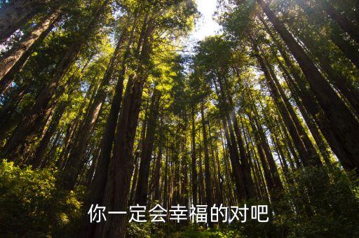 你一定會幸福的對吧