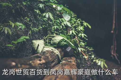龍崗世貿(mào)百貨到鳳崗嘉輝豪庭做什么車