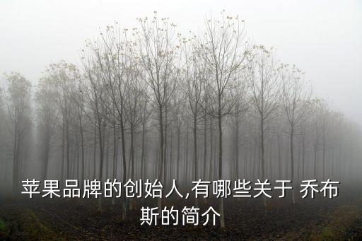 喬布斯簡介,喬布斯逝世蘋果創(chuàng)始人之一