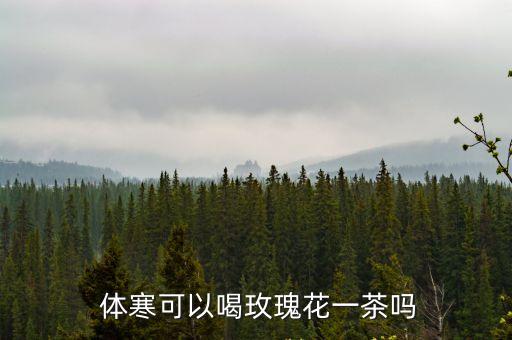  體寒可以喝玫瑰花一茶嗎