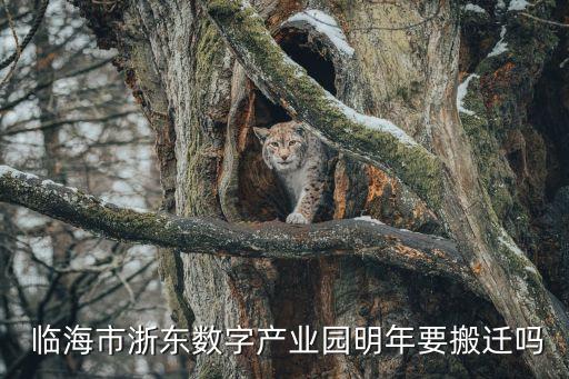  臨海市浙東數字產業園明年要搬遷嗎